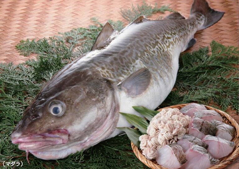 鱈ちゃん! - 料理自由研究家 ヒロカの小噺